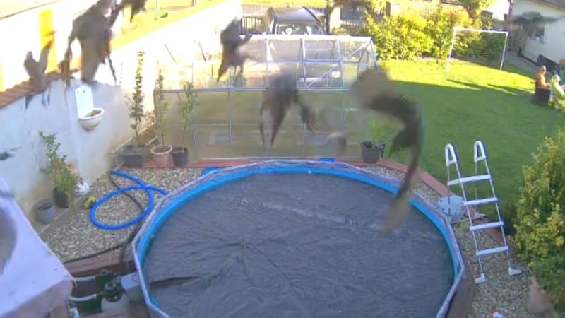 Po zemětřesení nám spadlo hejno ptáků na střechu, ukázal na videu divák. Otřesy zasáhly Orlík