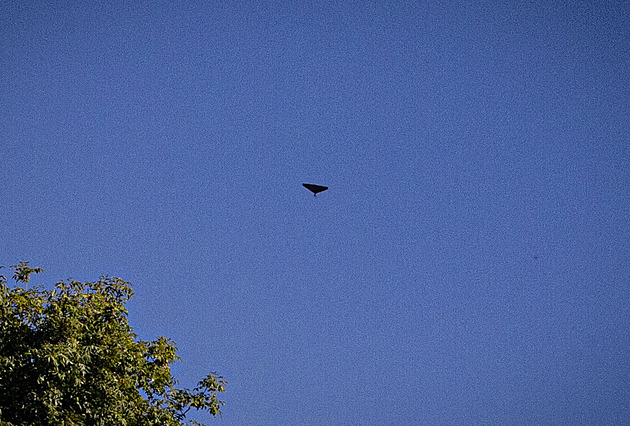 Byla to provokace Ukrajinců, odmítá Rusko průnik svého dronu do Rumunska