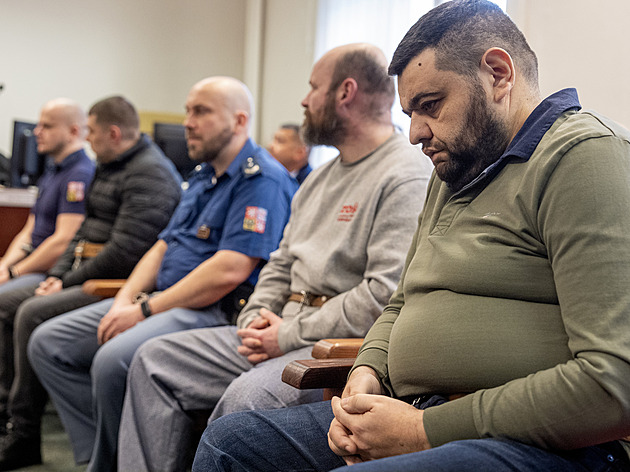 Obžaloba chce výjimečné tresty za smrt Arména. Pohřbení zaživa znalec zpochybnil