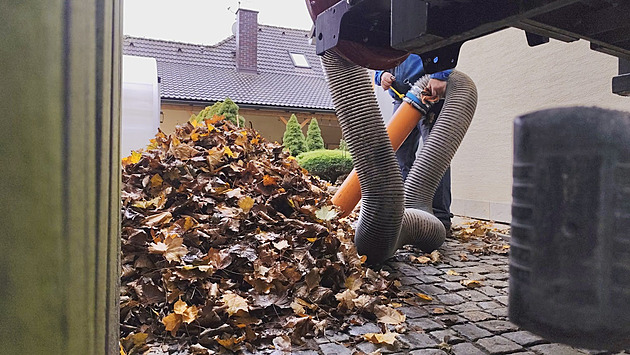Chlumec podnikl kontrolní úklid zahrady, chce smír s manželi ohledně listí
