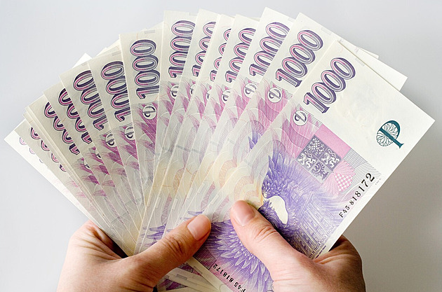 Zdravotní pojištění 2026: Kdo bude muset sáhnout hlouběji do kapsy