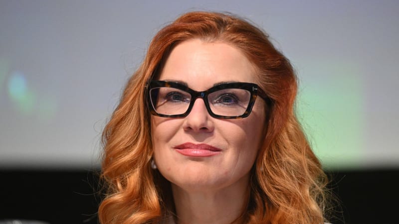 Video „defenestrace“ poslanců s vlajkou nadzvedlo Rakušana. Vraťte kytku, vzkázal Majerové