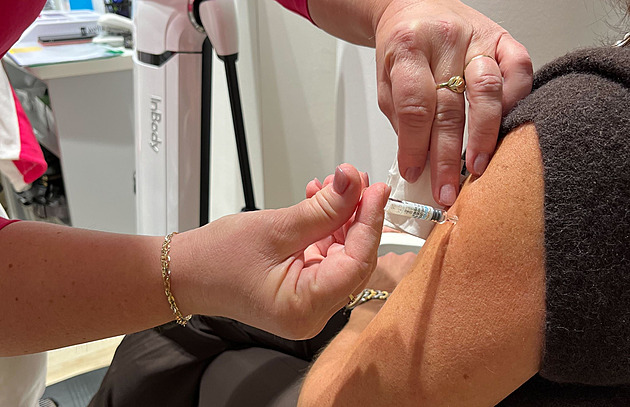 Docházejí vakcíny proti chřipce. Zdravotníci si nemohou objednávat nové