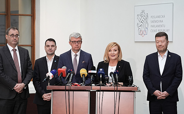 Nová koalice na Turkovi jako ministrovi trvá dál, potvrdili Havlíček i Šťastný