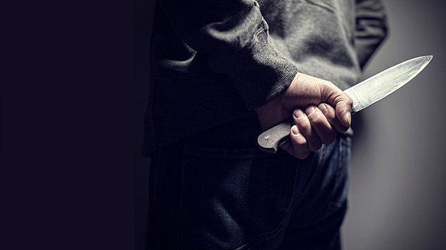 Vražda na Frýdecko-Místecku. Útok psychicky narušeného muže nepřežila žena a pes