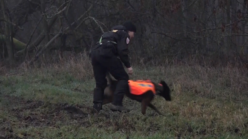Čtvrtý den pátrání po 12letém školákovi: Výzva policie se míjí účinkem. Chystá nový postup