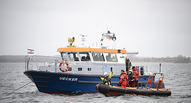 Velrybě Timmy, která uvázla u Německa, se podařilo vyprostit. Není jasné, kam nyní poplave