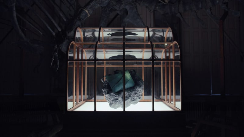 Kabelka z kůže Tyrannosaura rexe je na prodej. Vědci ji vypěstovali z bílkovin kosti