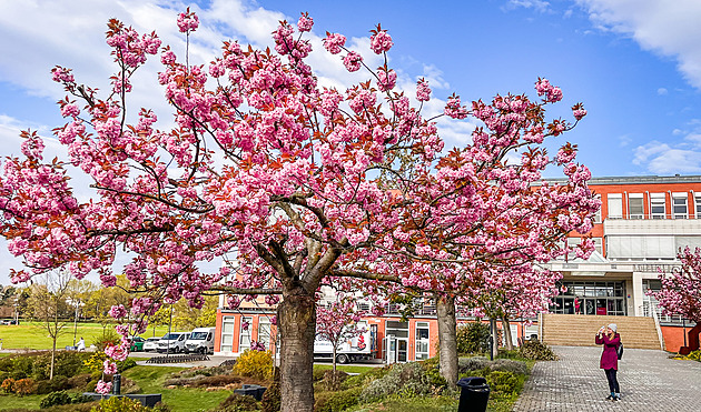 V sobotu bude skoro léto, v neděli zas zima. Mapa ukazuje velký rozdíl teplot