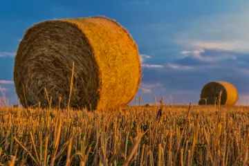 Chystaný zákon o předkupním právu podle kritiků přihrává agrokoncernům