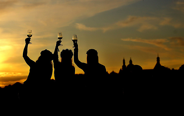 Vstupné zlevnili a program ohlídá aplikace. Obří vinobraní nabídne i zónu s pivem