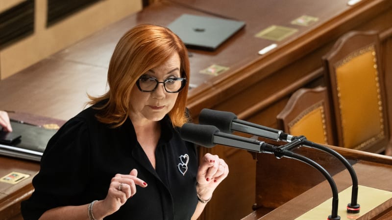 KOMENTÁŘ Aleny Schillerové: Čechům už vysoké poplatky za penzijko nechutnají