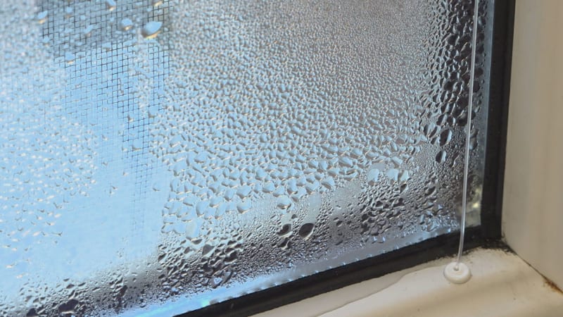 Orosená okna? Pozor na vlhkost a plíseň. Vyměnit okenní těsnění nebo větrat, radí technik